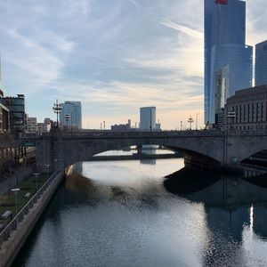 Meet your Posher, Anne